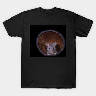 sad mouse in a coconut shell house T-Shirt